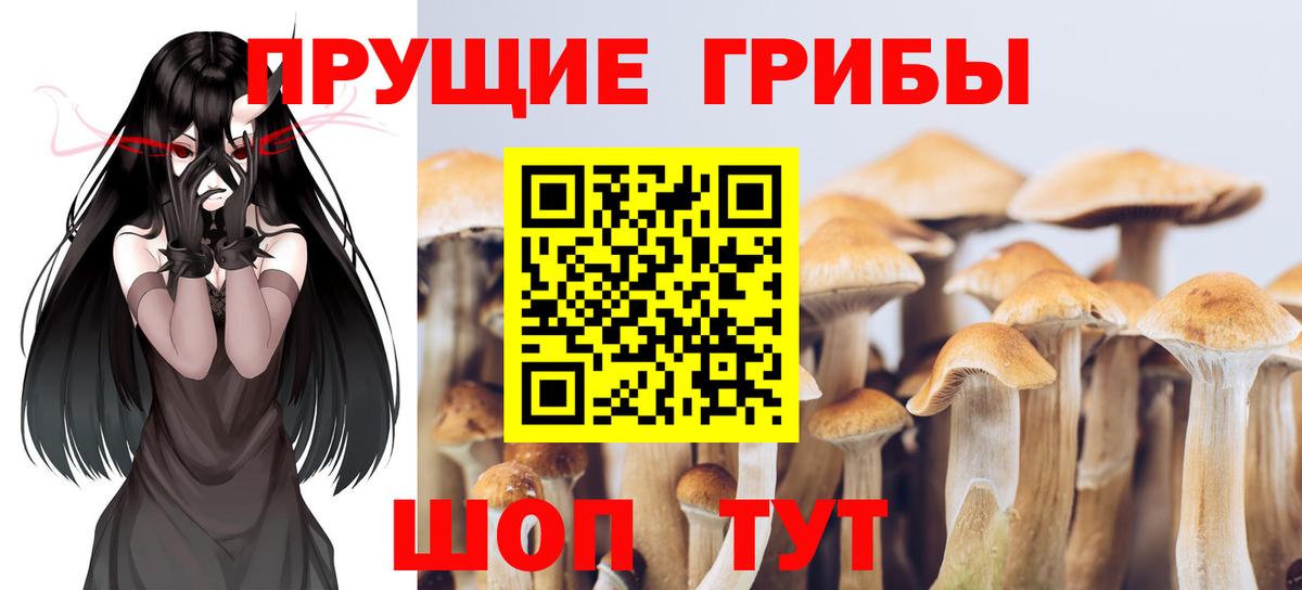 как найти   Псилоцибиновые грибы мицелий  Вход с VPN  Южно-Сахалинск 